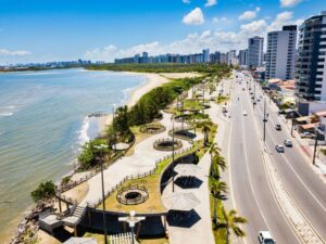 wmremove-transformed (1)