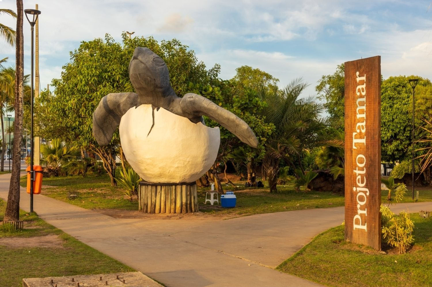 wmremove-transformed (7)